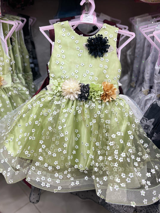 Beautiful baby girl fancy frock