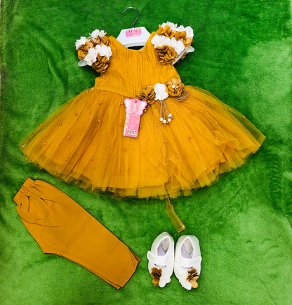 Baby girl fancy frock with shoes