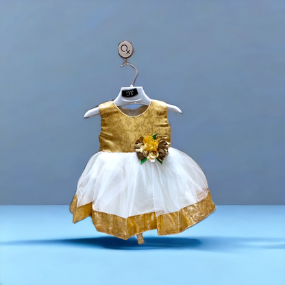 Baby Girl Fancy Frock